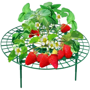 Підставка під полуницю, кущотримач (комплект 5 шт.)