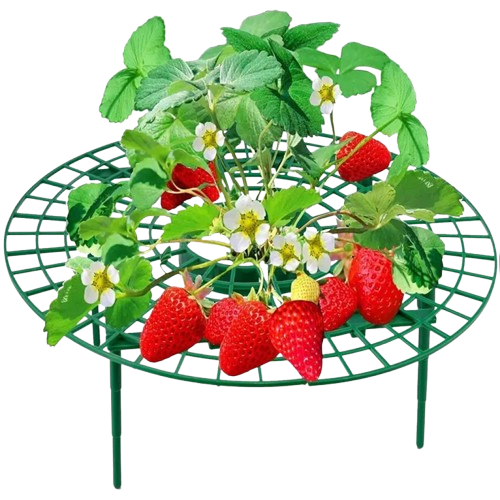 Підставка під полуницю, кущотримач (комплект 5 шт.)